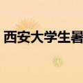 西安大学生暑假兼职（西安大学生暑期兼职）