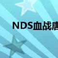 NDS血战唐人街秘籍（nds血战唐人街）