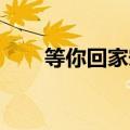 等你回家宋佳剧情（等你回家 宋佳）