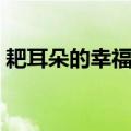耙耳朵的幸福生活演员（趴耳朵的幸福生活）