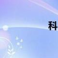 科比,妻子（科比情妇）