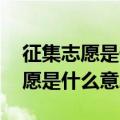 征集志愿是什么意思啊 什么时候填（征集志愿是什么意思啊）