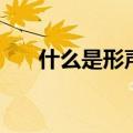 什么是形声字一年级（什么是形声字）
