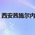 西安茜施尔内衣专卖店（西施尔内衣专卖店）