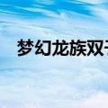 梦幻龙族双子加点（梦幻龙族2骑士加点）
