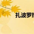 扎波罗热核电站地理位置（扎波）