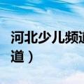 河北少儿频道安全教育直播回放（河北少儿频道）