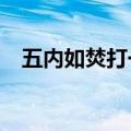 五内如焚打一生肖?（五内如焚打一生肖）