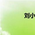 刘小源事件（单小源事件）
