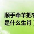 顺手牵羊把它带是什么生肖（顺手牵羊偷东西是什么生肖）