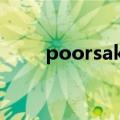 poorsakura desktop Download