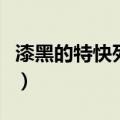 漆黑的特快列车爱奇艺（漆黑的特快列车终点）