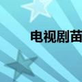 电视剧苗翠花结局（电视剧苗翠花）