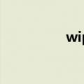 wipebatterystats中文