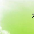 大襟衣服（大襟衣）