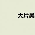 大片吴孟达于谦（大片 吴孟达）
