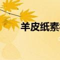 羊皮纸素材背景高清（羊皮纸 素材）