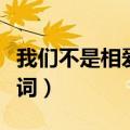 我们不是相爱吗歌词分配（我们不是相爱吗歌词）