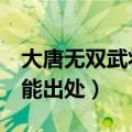 大唐无双武将技能及出处（大唐无双2武将技能出处）