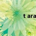 t ara素妍是谁（t ara素妍）