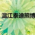 温江泰迪熊博物馆图片（温江泰迪熊博物馆）