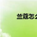 兰蔻怎么样查真伪（兰蔻怎么样）