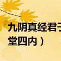 九阴真经君子堂四内内功属性（九阴真经君子堂四内）