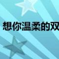 想你温柔的双臂是什么歌（想你温柔的双臂）
