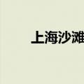 上海沙滩宝贝杨瑾（上海沙滩宝贝）