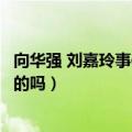 向华强 刘嘉玲事件（刘嘉玲绑架案事件始末原因是向华强做的吗）