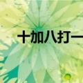 十加八打一字是什么字（十加八打一字）