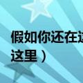 假如你还在这里是什么歌的歌词（假如你还在这里）