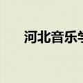 河北音乐学院分数线（河北音乐学院）