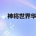神将世界华佗星魂（神将世界华佗配招）