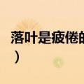 落叶是疲倦的蝴蝶的意思（落叶是疲倦的蝴蝶）