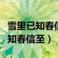 雪里已知春信至寒梅点缀琼枝腻翻译（雪里已知春信至）