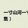 一寸山河一寸血全集视频（一寸山河一寸血全集）