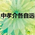 中孝介各自远扬中文歌词（中孝介 各自远扬）
