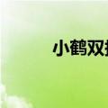 小鹤双拼ing怎么打（小鹤双拼）