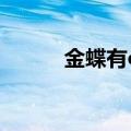 金蝶有oa系统吗（金蝶oa软件）