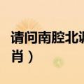 请问南腔北调解什么生肖（南腔北调指什么生肖）