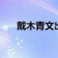 戴木青文出演的电影（戴文青木电影）