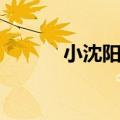 小沈阳秋歌歌词（小沈阳秋歌）