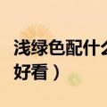 浅绿色配什么颜色好看男（浅绿色配什么颜色好看）