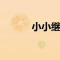 小小继承人电影（小小继承人）