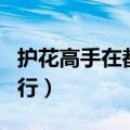 护花高手在都市全文免费阅读（护花高手都市行）