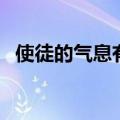 使徒的气息有啥用（使徒的气息有什么用）