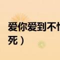 爱你爱到不怕死是哪年发行的（爱你爱到不怕死）