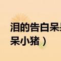泪的告白呆呆猪mp3微盘下载（泪的告白 呆呆小猪）