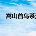 嵩山首乌茶治疗脂肪肝吗?（嵩山首乌茶）